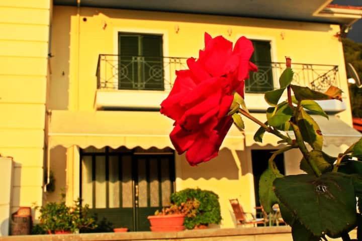 Guesthouse Bizani Néon Bizánion Exterior foto